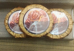 Wild Rose Crafts aka Prohibition Style - The Salty Turtle - Facial and Body Soap - Prohibition Style